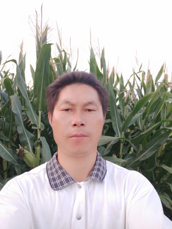 四海游龙的第一张照片--连城交友网