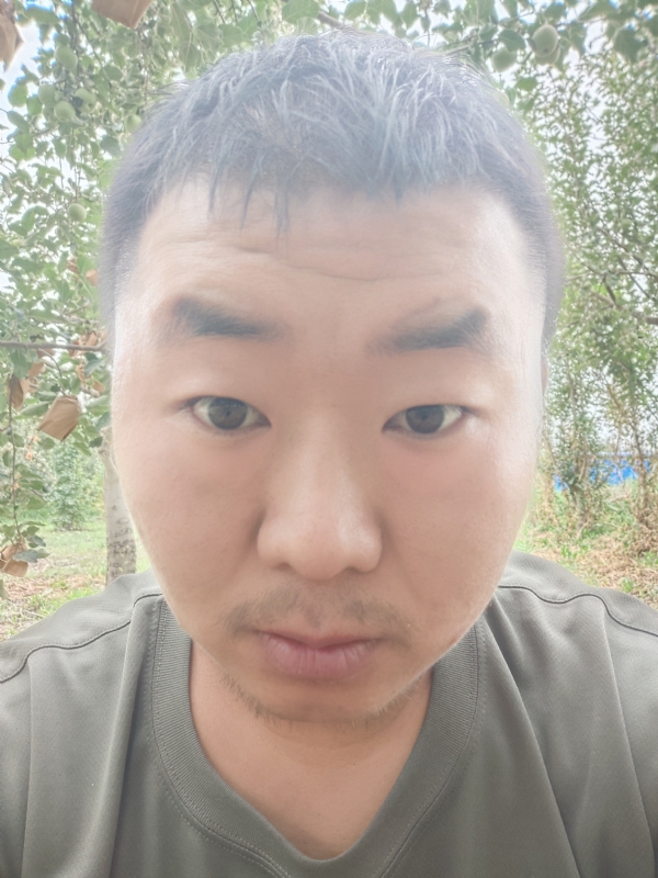 明天的第一张照片--连城交友网