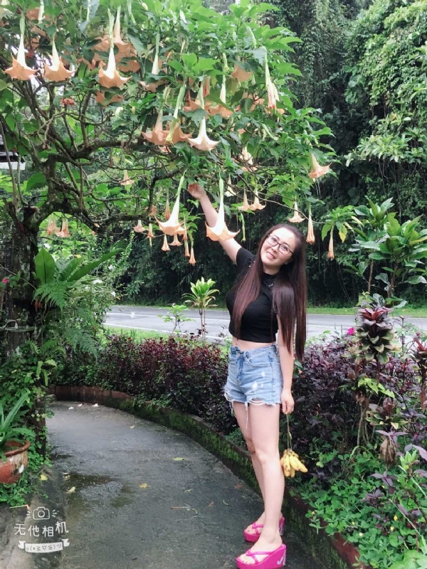 离异单身无子的第二张照片--连城交友网