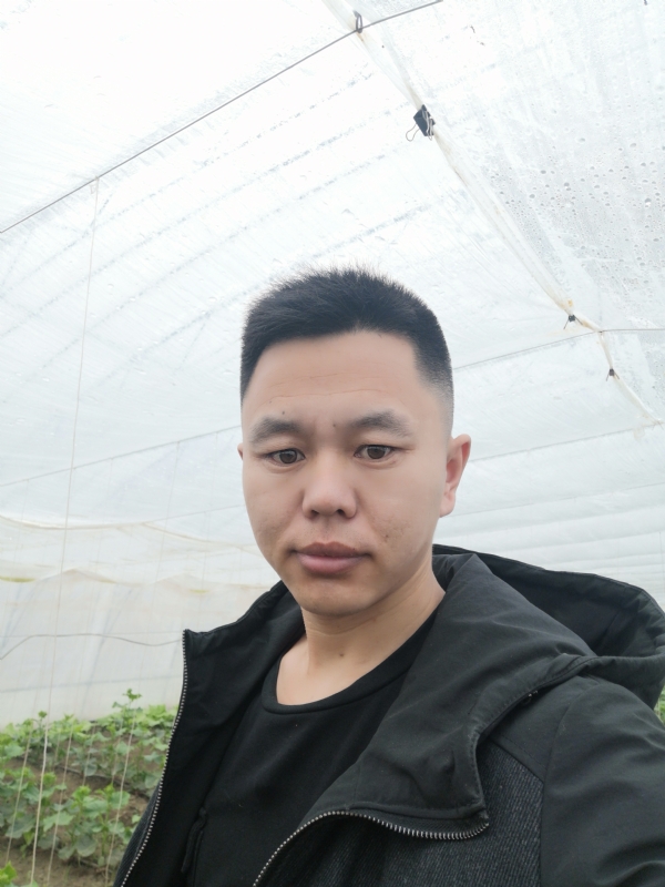 宇成的第一张照片--连城交友网