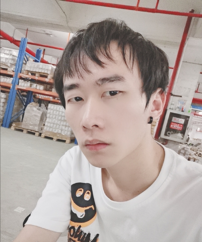 巷子里的猫的第一张照片--连城交友网