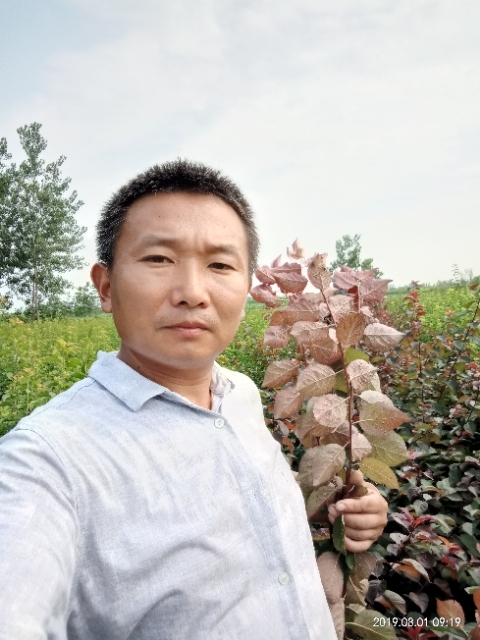 孩子爸的第二张照片--连城交友网
