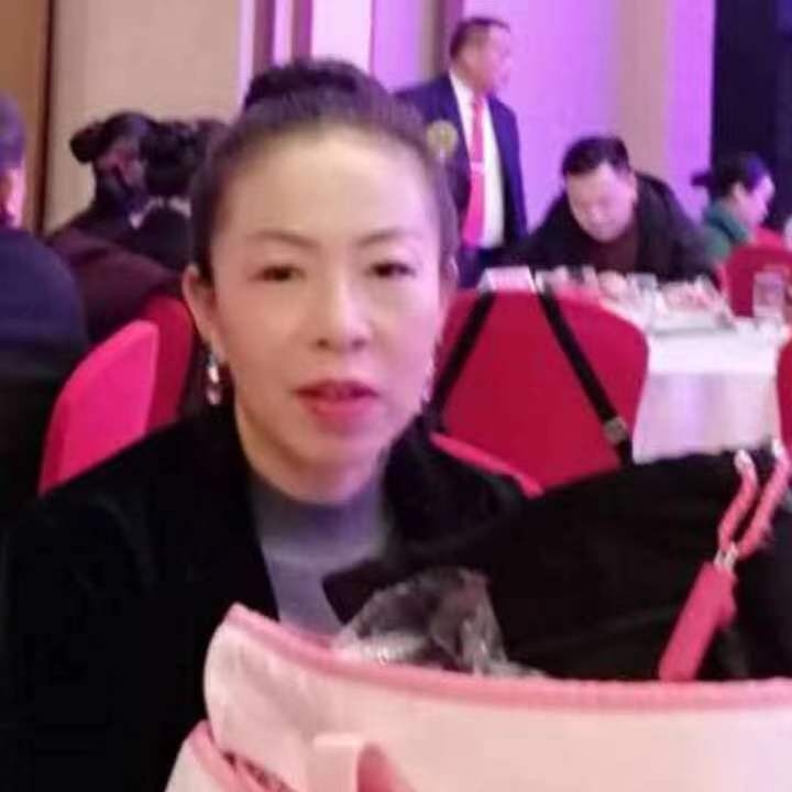 中秋桂花玉兔的第四张照片--连城交友网